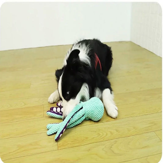 Squeaky Plush Octopus