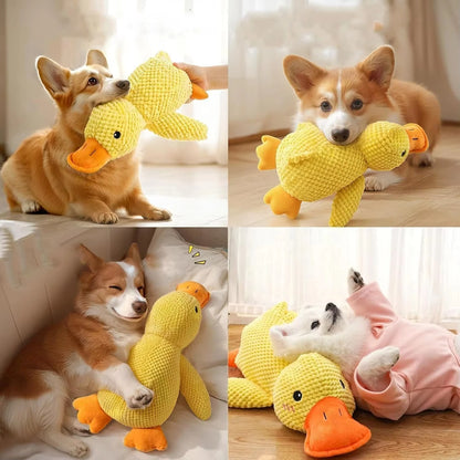Quacking Plush Duck