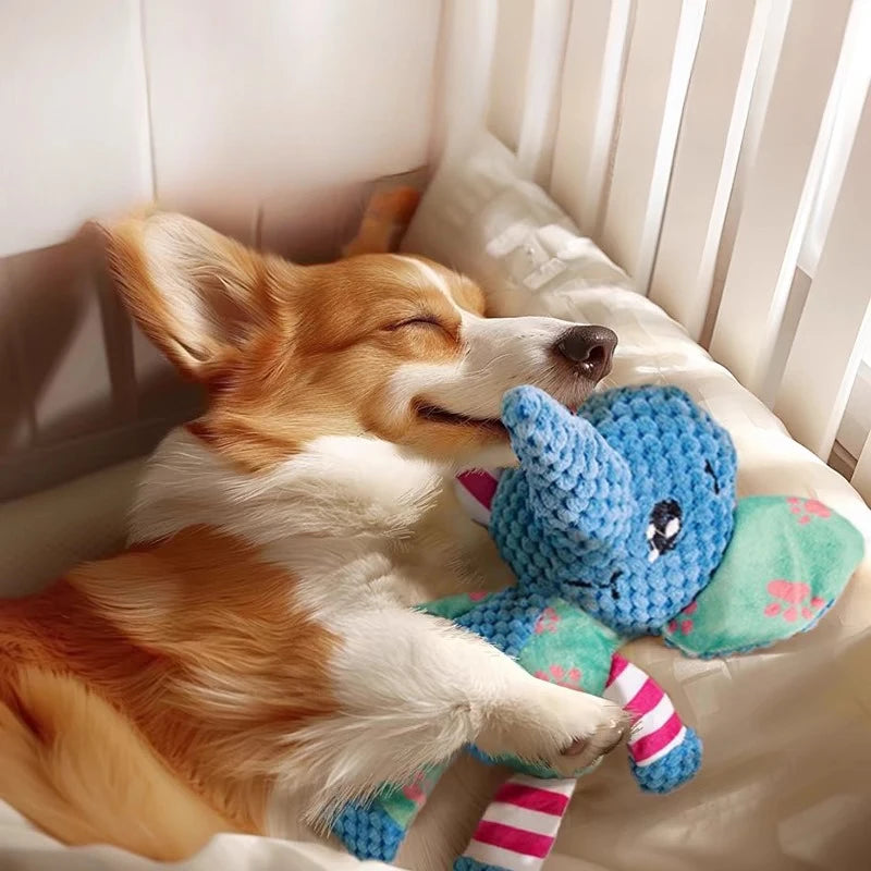 Squeaky Plush Animal
