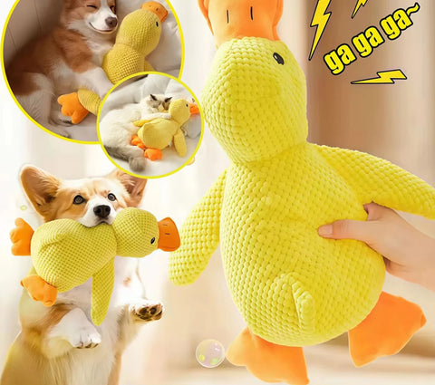 Quacking Plush Duck